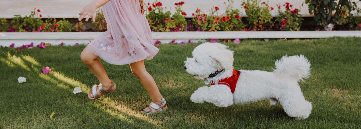 Outdoor Hidden Dog Fences